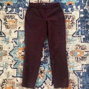 Express Columnist Ankle Dress Pants